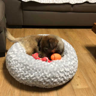 쏘오님이 올린 리뷰 사진 3