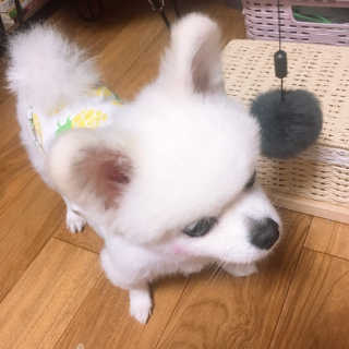 백설님이 올린 리뷰 사진 4