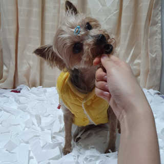 솜희님이 올린 리뷰 사진 3