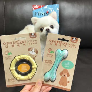 펫토리아 퍼스트메이트 도그and 캣 그레인프리 치킨과블루베리 — 5점을 준 리뷰어가 2018년 9월 올린 사용 사진