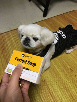 박진환님이 올린 리뷰 사진 1