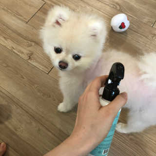 MinAKim님이 올린 리뷰 사진 1