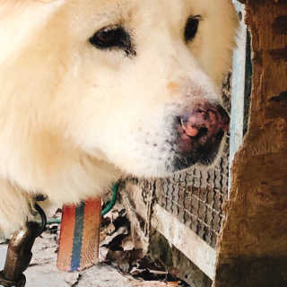 김은채님이 올린 리뷰 사진 4