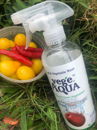 베지아쿠아 야채 아쿠아 475ml — 5점을 준 리뷰어가 2019년 9월 올린 사용 사진