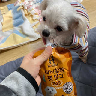 닥터할리펫밀크 8종 — 3.5점을 준 리뷰어가 2019년 11월 올린 사용 사진