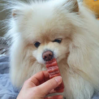 치리짱님이 올린 리뷰 사진 1