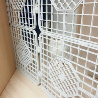 옘둥님이 올린 리뷰 사진 3