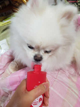 정하늘님이 올린 리뷰 사진 4