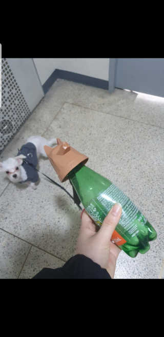 푸카카님이 올린 리뷰 사진 2
