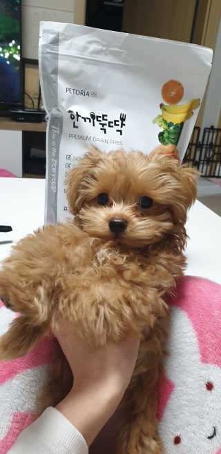ehlove님이 올린 리뷰 사진 1
