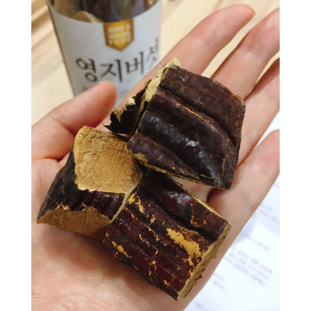 영지버섯 리뷰 사진
