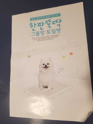 [펫토리아] 한판뚝딱 강아지 배변판 실속형,초대형 — 5점을 준 리뷰어가 2019년 6월 올린 사용 사진