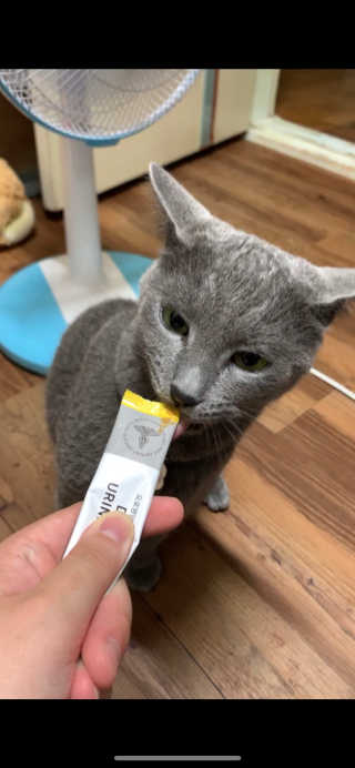 곰돌돌이님이 올린 리뷰 사진 2