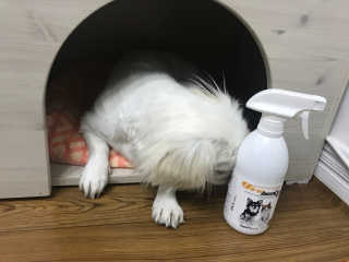 쏭님이 올린 리뷰 사진 1