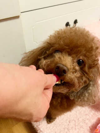 햄찌님이 올린 리뷰 사진 2