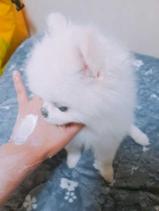 고우리님이 올린 리뷰 사진 2