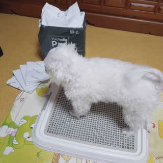 영히님이 올린 리뷰 사진 2