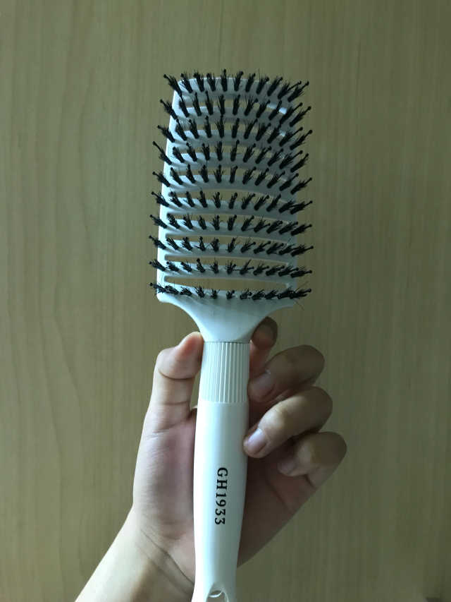 GH1933 벨루스 보어 브리슬 브러쉬 리뷰 사진