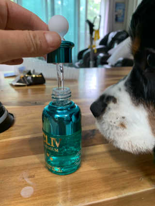 씨엘포 맥스 히아루로닉 프로폴리스 앰플 — 4.5점을 준 리뷰어가 2019년 6월 올린 사용 사진