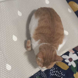 안녕소호님이 올린 리뷰 사진 3