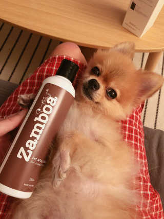 우희베베님이 올린 리뷰 사진 1