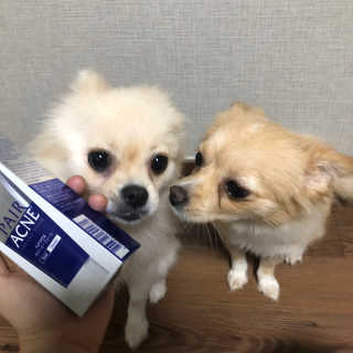 페어아크네 크리미폼 페어아크네 크리미 폼 — 4점을 준 리뷰어가 2019년 10월 올린 사용 사진