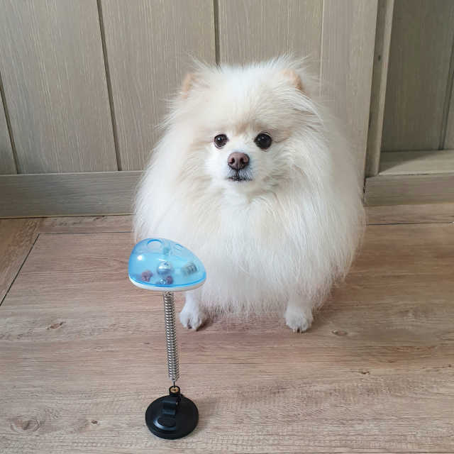 옥희독희 스윙토이 리뷰 사진