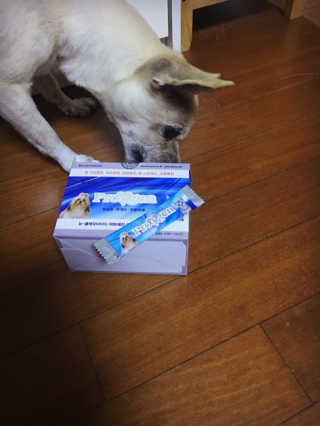 트댕님이 올린 리뷰 사진 1