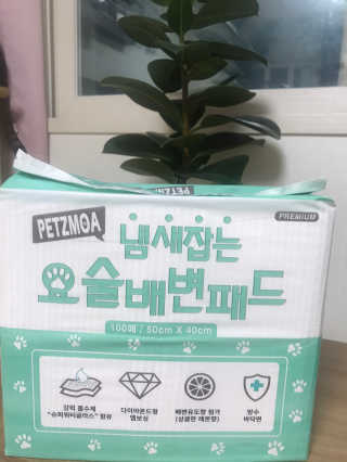 글라라5205님이 올린 리뷰 사진 4