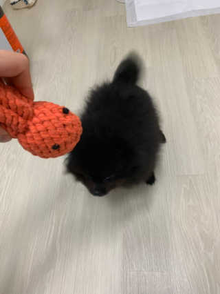 별톱님이 올린 리뷰 사진 2
