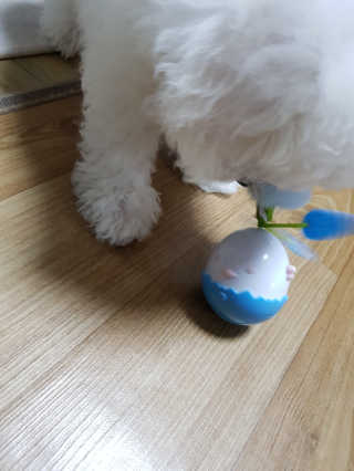 짬뽕이누나님이 올린 리뷰 사진 3