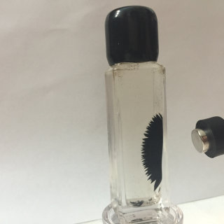 Setare님이 올린 리뷰 사진 2