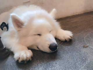 김은둥님이 올린 리뷰 사진 3