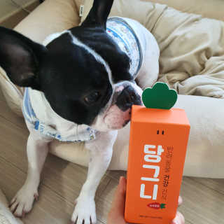 다사요님이 올린 리뷰 사진 1