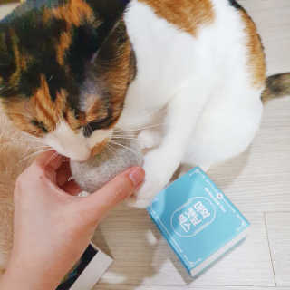 JENNY님이 올린 리뷰 사진 1