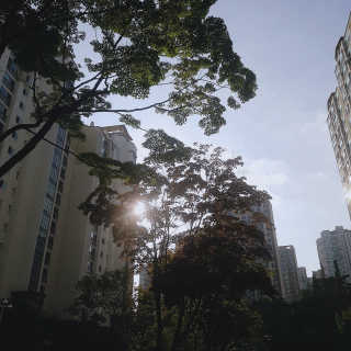 키키준님이 올린 리뷰 사진 2