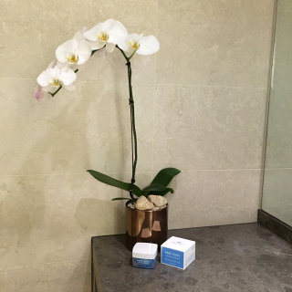 샐랄ㄹ라라라님이 올린 리뷰 사진 1