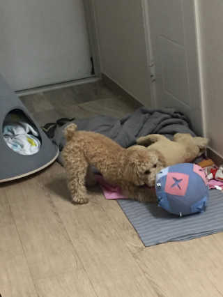 오여님이 올린 리뷰 사진 2