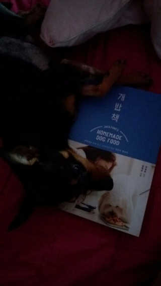 sylvia0307님이 올린 리뷰 사진 4