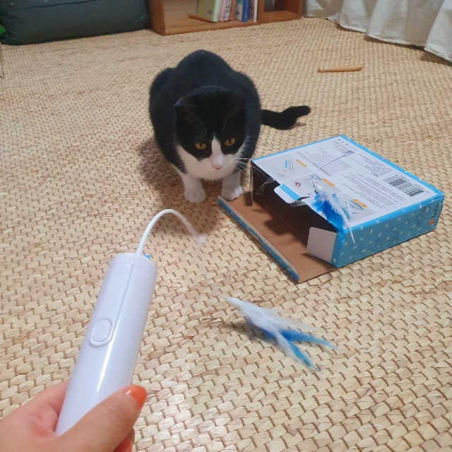 옥희독희 뱅글뱅글 리뷰 사진