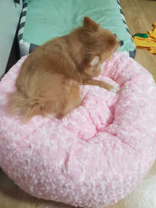 tmvksl5님이 올린 리뷰 사진 1