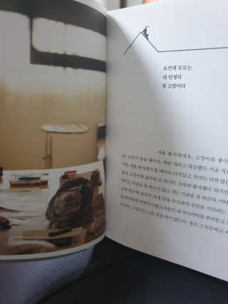 윤유림님이 올린 리뷰 사진 2