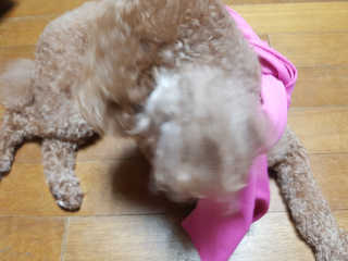금수니맘님이 올린 리뷰 사진 2
