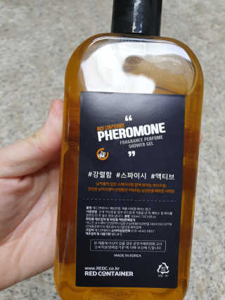 준돌이들맘님이 올린 리뷰 사진 3