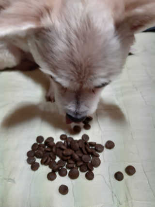 moomoon님이 올린 리뷰 사진 3