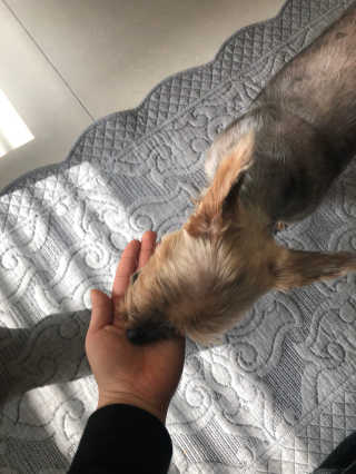 전혜민님이 올린 리뷰 사진 4