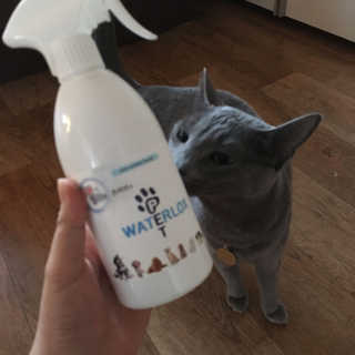김시은님이 올린 리뷰 사진 1