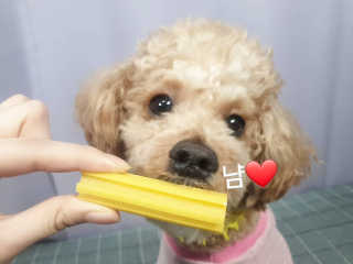 란아님이 올린 리뷰 사진 1