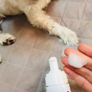 당근님이 올린 리뷰 사진 2