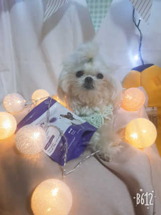뚱이땅콩맘님이 올린 리뷰 사진 2